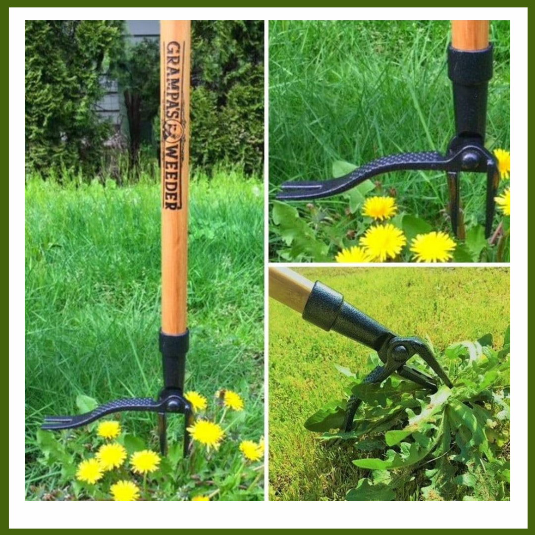 The Original Stand Up Weed Puller Tool with Long Handle