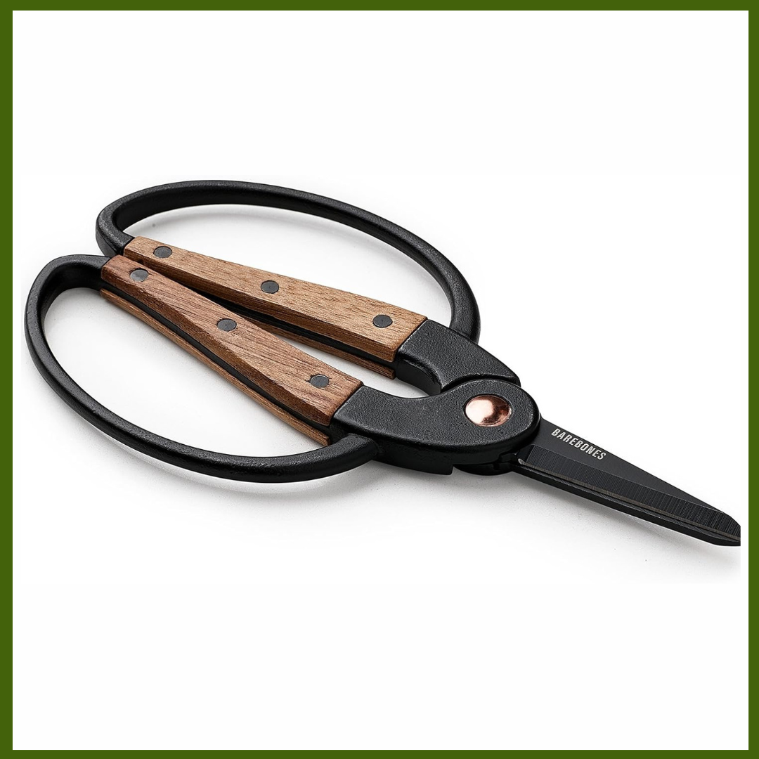 Walnut Plant Garden Scissors Wide Handles