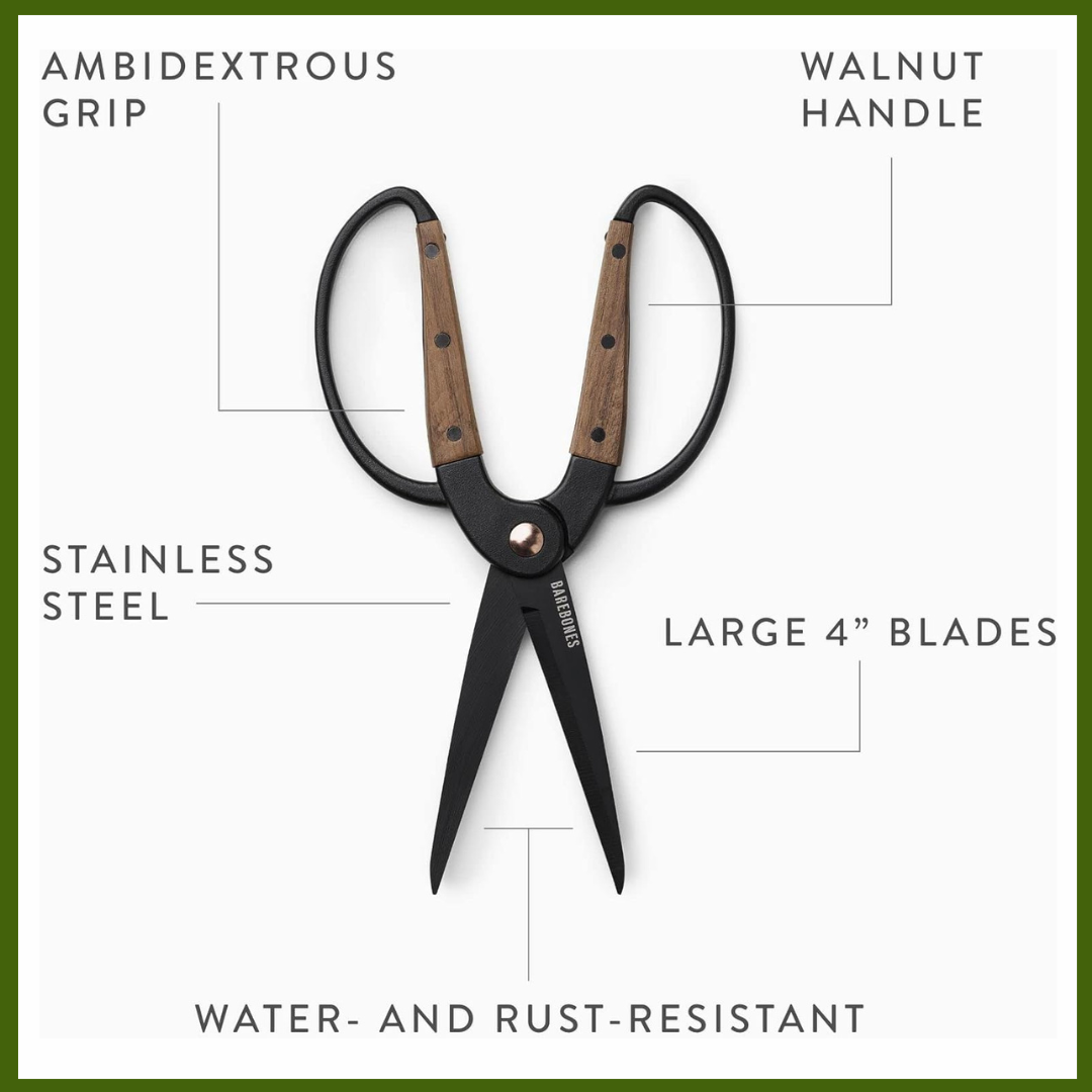 Walnut Plant Garden Scissors Wide Handles