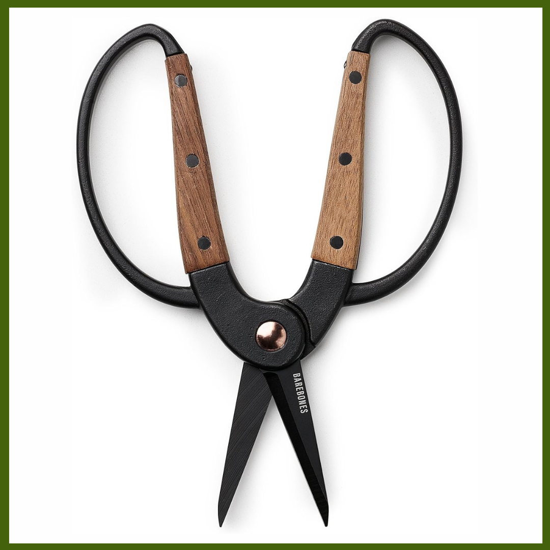 Walnut Plant Garden Scissors Wide Handles