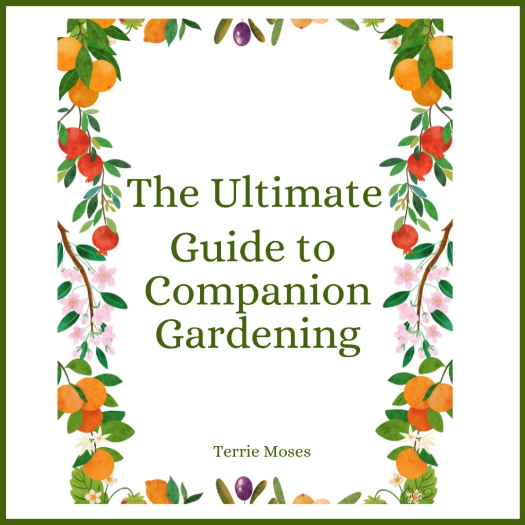 The Ultimate Guide to Companion Gardening