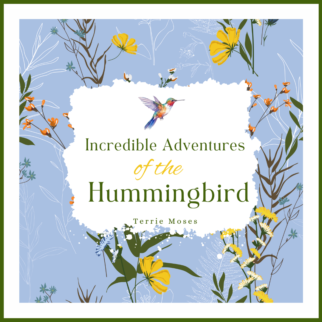 Incredible Adventures Of The Hummingbird EBook