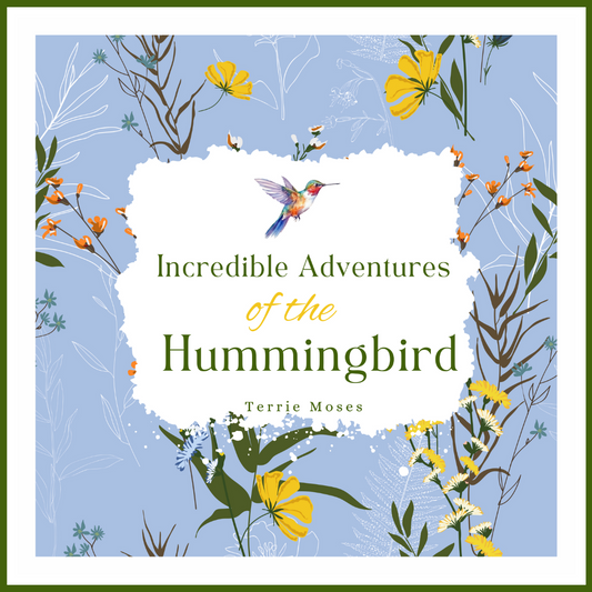 Incredible Adventures Of The Hummingbird EBook