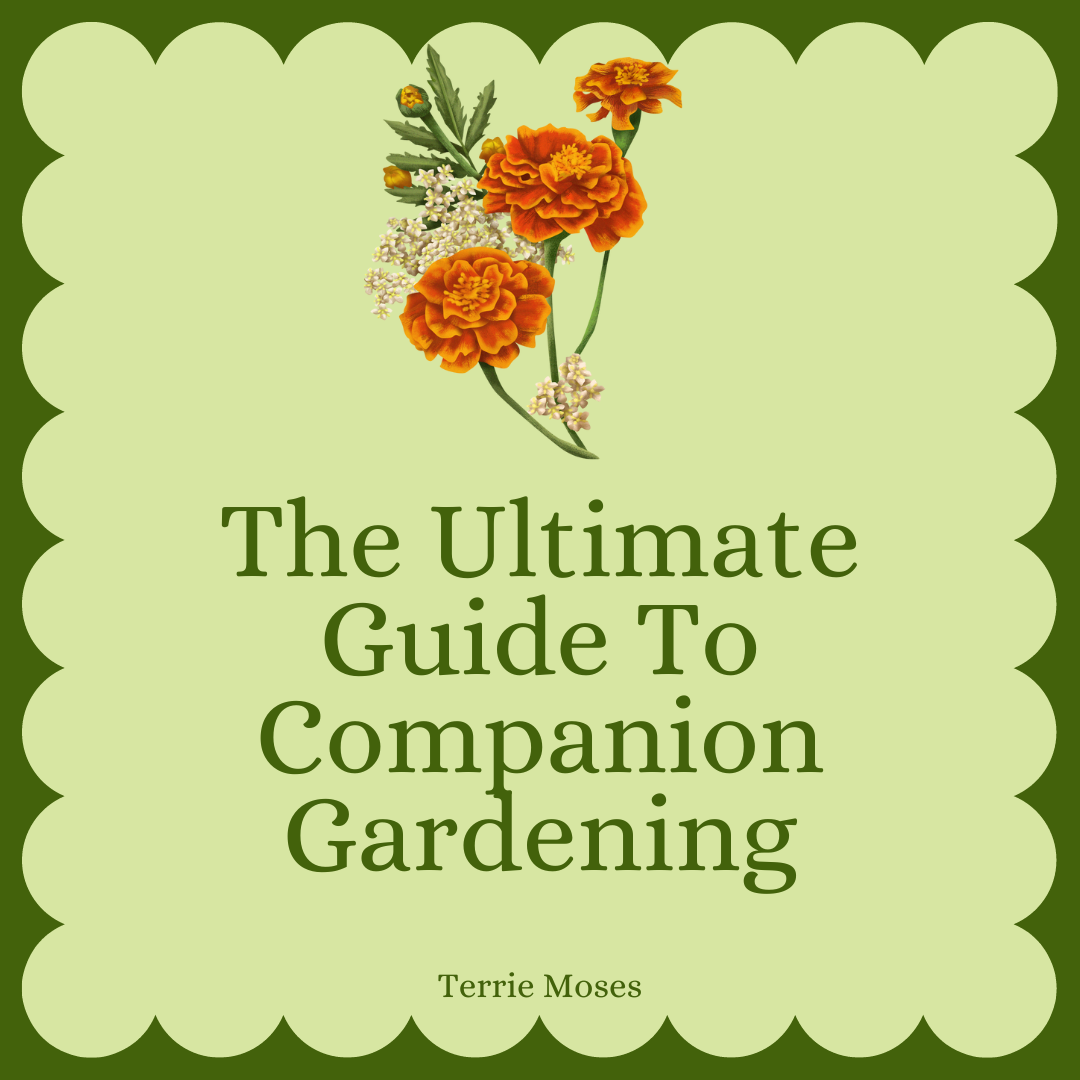 The Ultimate Guide to Companion Gardening E-Book