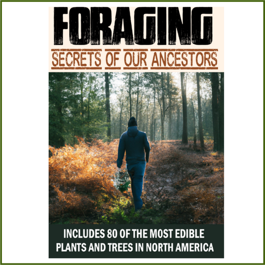 Foraging Secrets of Our Ancestors